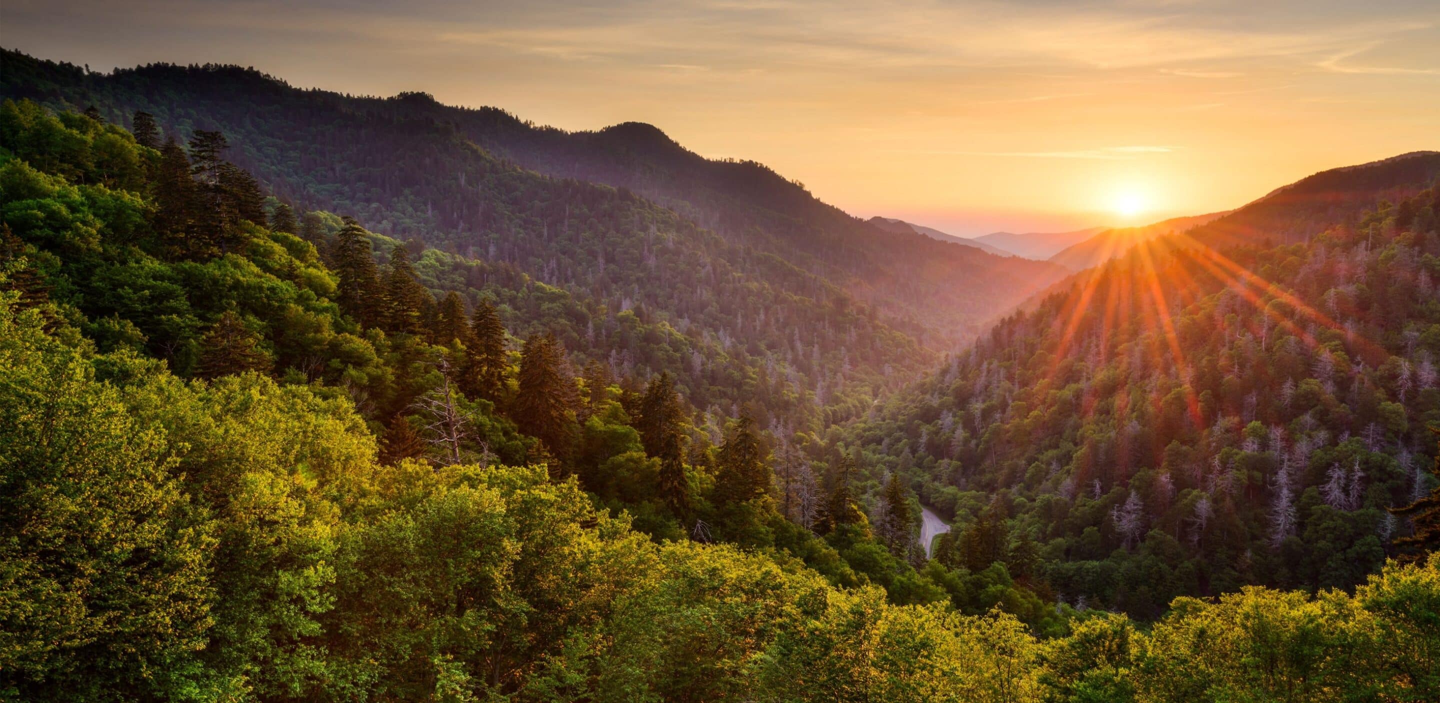 Alcohol and Drug Rehab in Knoxville, TN Cornerstone of Recovery