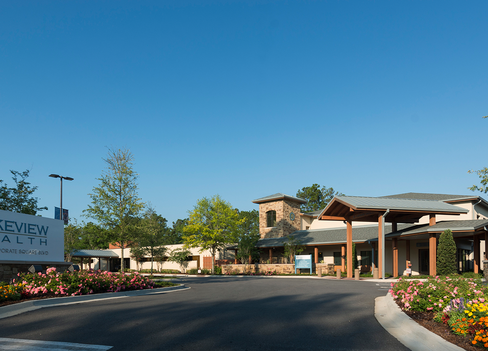 Lakeview Health